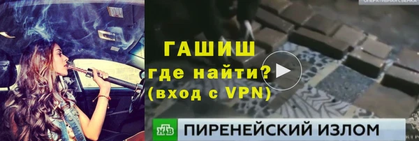 гидра Богородицк