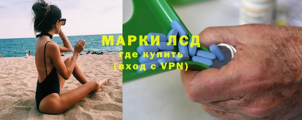 гидра Богородицк