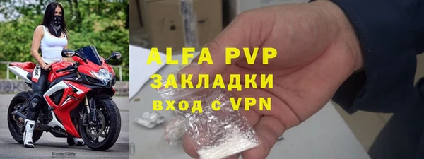 гидра Богородицк