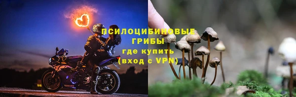 гидра Богородицк