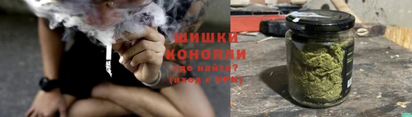 гидра Богородицк