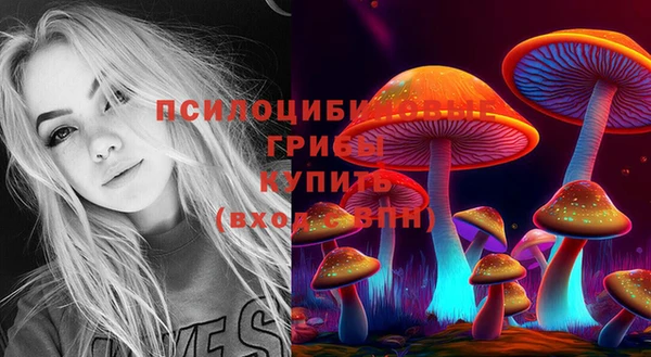 первитин Богородск