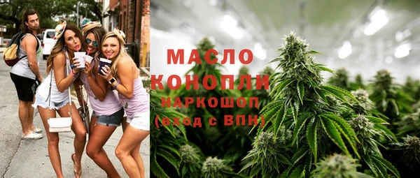гидра Богородицк