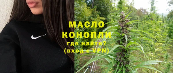 гидра Богородицк
