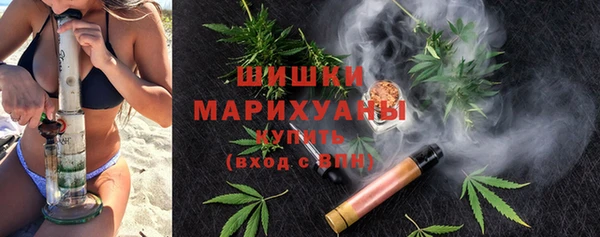 гидра Богородицк