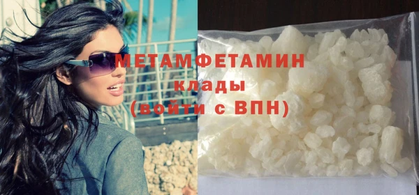 гидра Богородицк