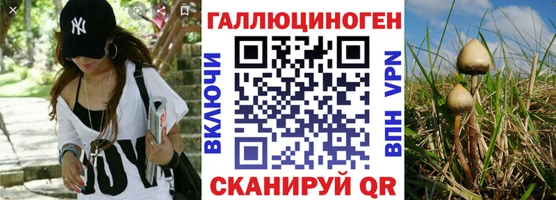 Псилоцибиновые грибы GOLDEN TEACHER  Ставрополь 
